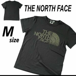 THE NORTH FACE ザ・ノースフェイス TEK TEE レディース Tショット Ｍ カットソー グレー系 (f94)