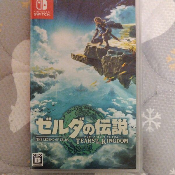 ゼルダの伝説 ティアーズ オブ ザ キングダム Switch