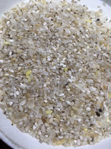 C-1..... rice bird bait 20kg(10kg×2) Kanto, Hokuriku, Chuubu, Kinki only fixed amount shipping 