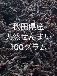 2024年物☆秋田県産☆天然ぜんまい