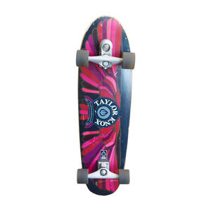 CARVER( CarVer ) skateboard 