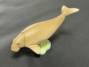 海洋堂カプセルQ 日本の動物コレクションⅡ(沖縄奄美/やんばるの森)　ジュゴンQMN―010