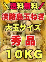 淡路島新玉ねぎ 大玉　七宝　10kg 10キロ　淡路島たまねぎ　玉ねぎ　秀品_画像1