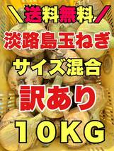 淡路島新玉ねぎ　七宝　10kg 10キロ　淡路島玉ねぎ　新玉ねぎ　訳あり_画像1