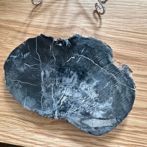 鉱物標本 珪化木 木化石 天然石 原石 443g 14cm x 9cm 浄化 クールブラック
