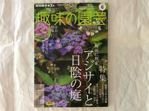 NHK текст хобби. садоводство 2024 год 6 месяц номер 
