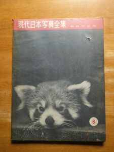 現代日本写真全集8　動物作品集　1958年初版　創元社