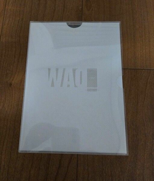 宝塚 DVD WAO Ⅰ（one）～HlSTORY～