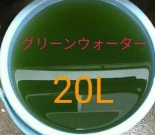 グリーンウォーター20L