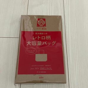 素敵なあの人　付録　タイガー魔法瓶コラボ 保冷機能つき大容量バッグ