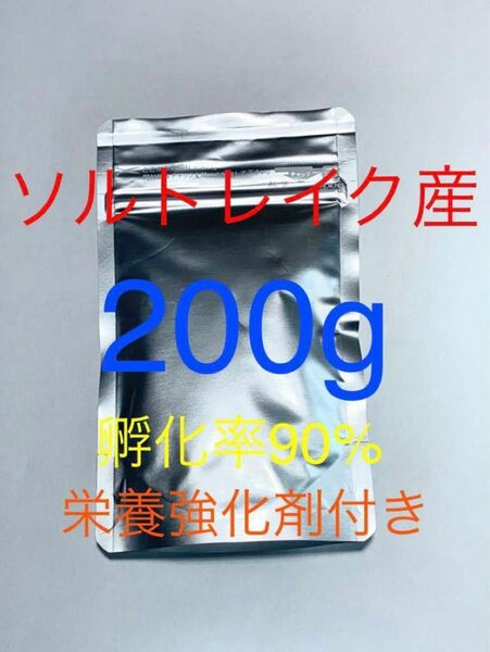 ソルトレイク産　高品質ブラインシュリンプ　栄養強化剤付き　魚用エサ