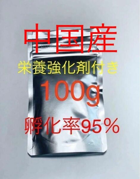 【コスパ抜群】高品質ブラインシュリンプ　中国産　栄養強化剤サンプル付き　