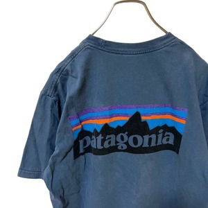 P14 パタゴニア　S アメリカ古着　メキシコ製　プリント　オーガニックコットン　半袖　Tシャツ　 patagonia　38906 17年　メンズ