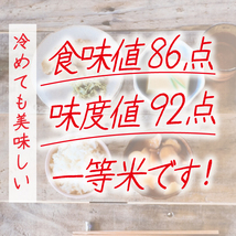 令和5年産一等米　希少コシヒカリ！はちたか米 20kg_画像5