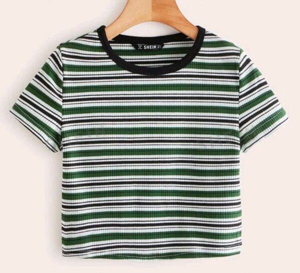 【未使用】Tシャツ 半袖 ボーダー カットソー ボーダーTシャツ クロップ丈 コンパクトTシャツ
