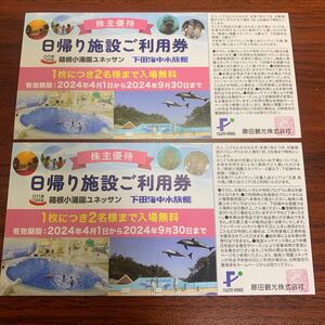 藤田観光 株主優待◆日帰り施設ご利用券2枚◆ネコポス送料無料(追跡/匿名)◆有効期限2024年9月30日