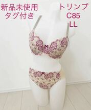 新品未使用 タグ付きトリンプ C85 LL ブラジャー ショーツ　セット　23_画像1