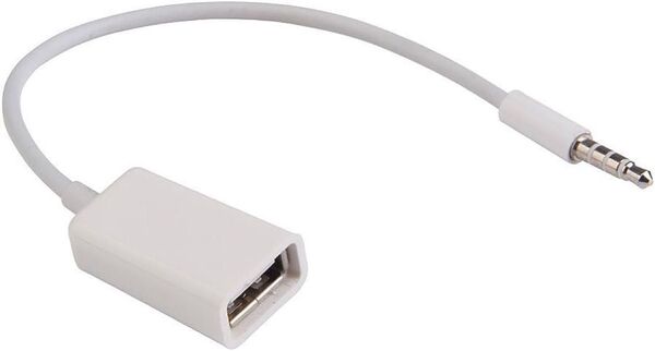 FYL 3.5mm AUX端子用オーディオプラグジャック(オス)からUSB2.0(メス)への変換ケーブルコード 変換 ケーブル