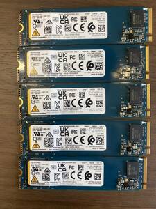 東芝　キオクシア　SSD NVME 256GB 美品　HP01AN00 動作良好　5枚