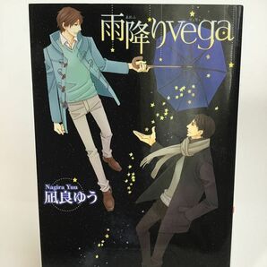 雨降りｖｅｇａ （幻冬舎ルチル文庫　な１－２） 凪良ゆう／著