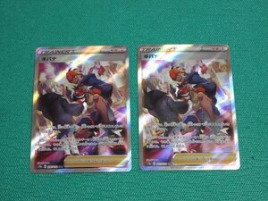 《ポケモンカードゲーム》　s12a 237　SAR　キバナ ×2　③