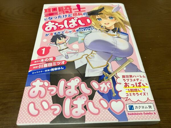 聖騎士になったけど団長のおっぱいが凄すぎて心が清められない 1巻 原作 木の芽 漫画 川喜田ミツオ キャラクター原案 雨傘ゆん