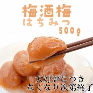 【数量限定】梅酒梅 はちみつ 【完熟 南高梅使用】塩分8% 500ｇ B級品