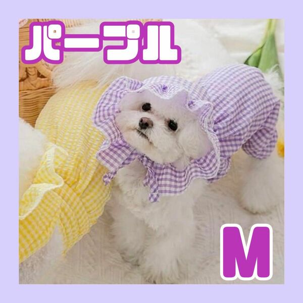 【可愛い帽子付き】ペットウェア　犬　洋服　春夏　大型犬　中型犬　お散歩　写真撮影