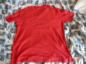 パパス、papas 、麻使用、半袖　Tシャツ　（中古美品）サイズ50（L)