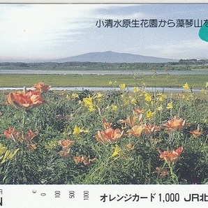 ＪＲ北海道「小清水原生花園から藻琴山を望む」1穴使用済みの画像1