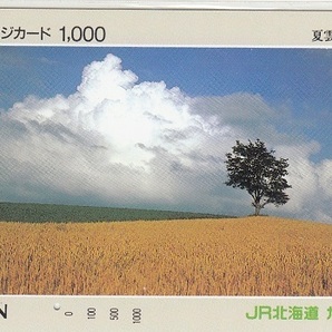 ＪＲ北海道「夏雲の丘」1穴使用済みの画像1