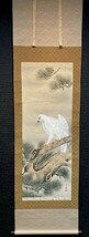 【真作】鈴木春秋「老松白鷹図」絹本共箱 検)小禽/書画/掛け軸/中国/山水/日本画/花鳥/仏画/小鳥/タカ 縁起物 猛禽類 正月_画像2