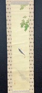 [ copy ] flat ...[ blue maple . sweetfish map ] silk pcs. box Takeuchi .... Kyoto. person inspection ) blue maple blue green fish small ./.. axis / landscape / Japanese picture / flowers and birds small bird the first summer water side 