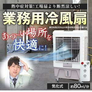 冷風機 冷風扇 大型 クールファン スポットクーラー 気化式 ノンフロン 冷房 空調 工場扇 100V 省エネ 工場 倉庫 ###冷風機8000R-60###