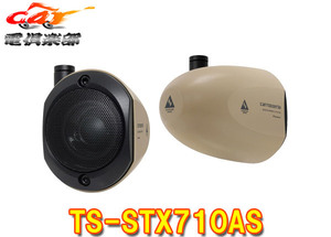 [ посылать за товар ]carrozzeria Carozzeria TS-STX710AS satellite speaker ( приключения серии )