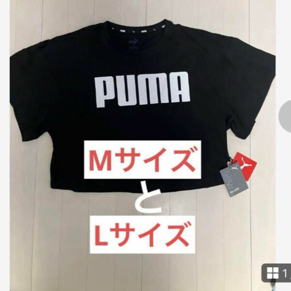 プーマPUMA レディースTシャツ　ショート丈　ダンス　ヨガ　M or L 黒 半袖Tシャツ プリント Tシャツ