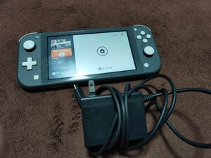 Switch Nintendo Lite ニンテンドー スイッチ ライト