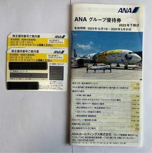 ANA 全日空 株主優待券 ２枚　有効期限:2024年11月30日迄　【送料無料】