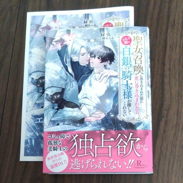 聖女召喚に巻き込まれた奴に更に巻き込まれたら、コミュ障の白銀の騎士様が離してくれない