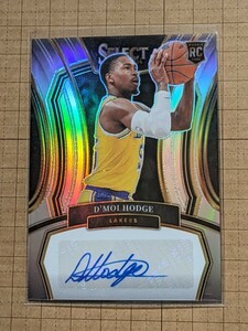 ディモイ・ホッジ【NBA 2023-24 PANINI SELECT BASKETBALL】D'MOI HODGE RC RS-MOI ルーキー 直筆サインカード #/249