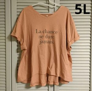 バックフレア 半袖 Tシャツ コーラル ピンク レディース 大きいサイズ 5L