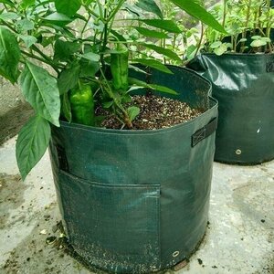 植木鉢 2個 プランター 丸い布鉢 軽量 深鉢 栽培バッグ じゃがいも用　栽培 2個7ガロン30x35cm ダークグリーン