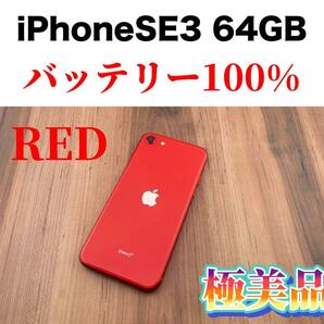 79iPhone SE (第3世代) レッド 64 GB SIMフリー本体