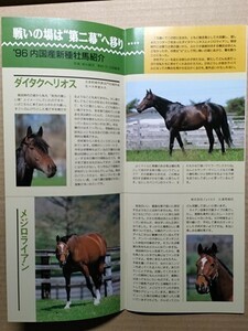 競馬 JRA レープロ960622札幌 モリチヅル/マチカネベニザクラ レインボークイーン /ダイタクヘリオス・メジロライアン /Yメジロパーマー