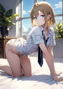 【高画質・光沢紙】オリジナル美女・美少女 アニメ 同人 セクシーアートポスター A4 No.C0300