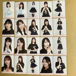 乃木坂46 生写真　真夏の全国ツアー2023TシャツB＆C ver 阪口珠美　佐藤璃果　向井葉月　柴田柚菜　弓木奈於　中村麗乃　奥田いろは　など