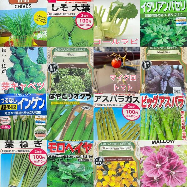 【5月がまきどき！野菜とハーブ　2種】この中から2種類選べます♪