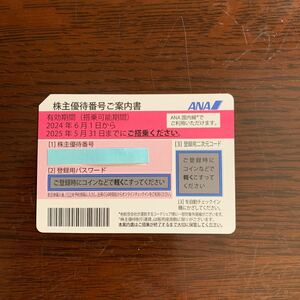 期間まるまる1年！　ANA 株主優待 2025年５月31日まで(2024年6月1日から)