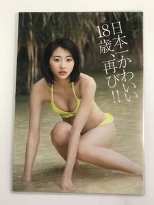 [150μフィルム厚手ラミネート加工］　武田玲奈3ページ　雑誌の切り抜き　ビキニ水着　グラビア