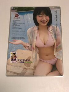 [150μフィルム厚手ラミネート加工］　朝長美桜8ページ　雑誌の切り抜き　ビキニ水着　グラビア